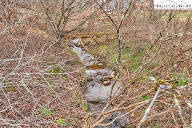 9716 Three Top Rd, Todd, NC 28684 - photo 3