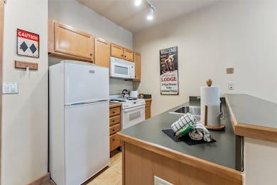 91 River Run Rd unit 8117, Dillon, CO 80435 - photo 6