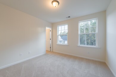 409 American Goldfinch Way, Moncks Corner, SC 29461 - photo 5