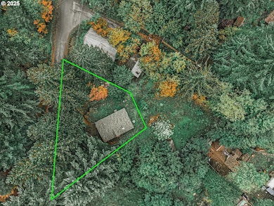 71210 E Faubion Loop, Rhododendron, OR 97049 - photo 4