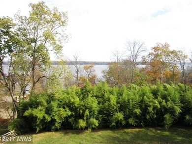 7301 Park Terrace Dr, Alexandria, VA 22307 - photo 4