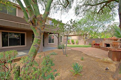 Backyard & Patio