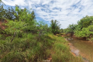 0 Fm 1236 unit 21110671, Aspermont, TX 79502 - photo 5