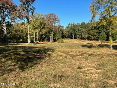 Lot 28 Love Station Loop, Hernando, MS 38632 - photo 3