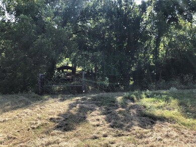 View of local wilderness
