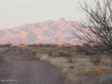 0 SW Corner of Powell & Tyree Rd unit 145 21708909, Pearce, AZ 85625 - photo 4