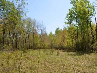 AT Hwy 86, Tomahawk, WI 54487 - photo 5