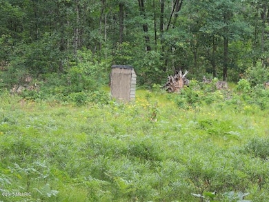 no # 14 Mile Rd, Bitely, MI 49309 - photo 2