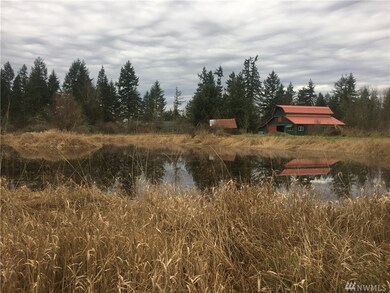 12808 Vail Rd SE, Yelm, WA 98597 - photo 4