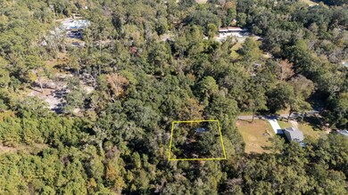 159 W Notre Dame St, Monticello, FL 32344 - photo 4