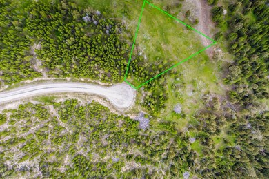 155 Seclusion Point Fork, Big Sky, MT 59716 - photo 2