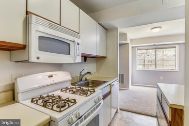 202 Park Terrace Ct SE unit 13, Vienna, VA 22180 - photo 7