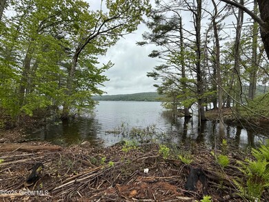 1569 S Shore Rd, Hadley, NY 12835 - photo 4