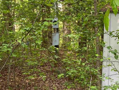 112 Osela Ln, Louisburg, NC 27549 - photo 5