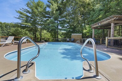 982 Indian Point Rd unit 214, Branson, MO 65616 - photo 7