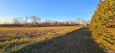 3 Mason Rd, Webberville, MI 48892 - photo 6