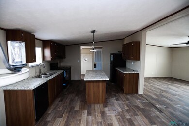 4211 Mimosa St, Carlsbad, NM 88220 - photo 6