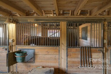 937 Stallion Spirit Trail, Clover, SC 29710 - photo 6