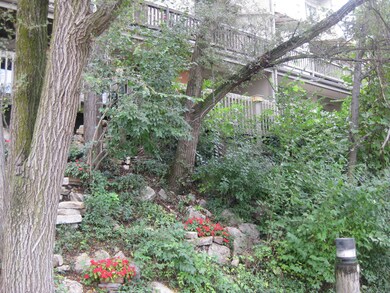 View from the Street