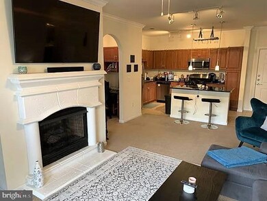 12900 Centre Park Cir unit 203, Herndon, VA 20171 - photo 4