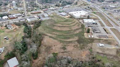 1319 S Brundidge St, Troy, AL 36081 - photo 6