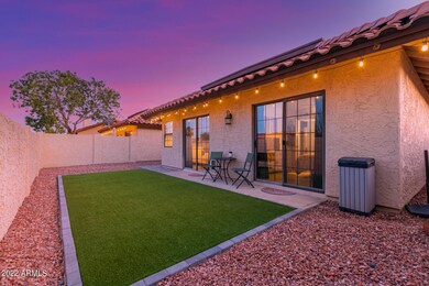 Backyard!