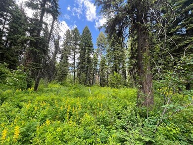 TBD Grouse Trail unit 6A-57, Donnelly, ID 83615 - photo 7