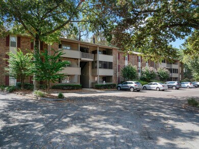 DJI_20250923104336_0078_D-9-Edit