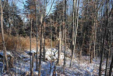 00 Mann Rd unit Lot 3, Wilmington, VT 05363 - photo 5