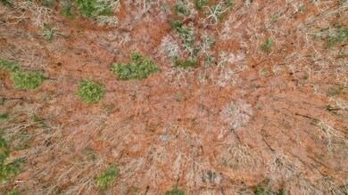 48 Buttonwood Ave, Sutton, MA 01590 - photo 6