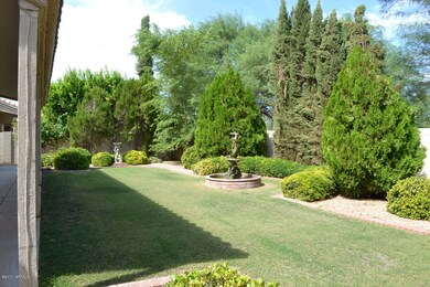 Backyard 3