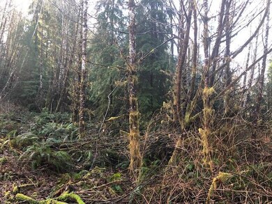 Forested