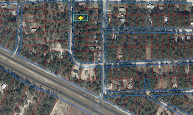 Lot 5 NE 100th Ct, East Bronson, FL 32621 - photo 4
