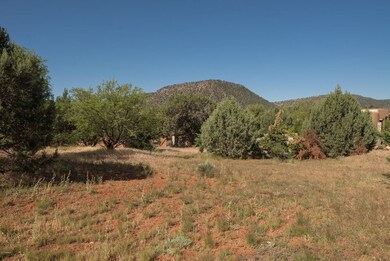 Panoramic Views