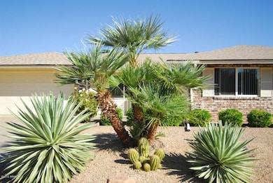 FRONT YARD CACTUS AND PALMS