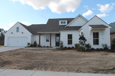 201 Santander Dr, Youngsville, LA 70592 - photo 2