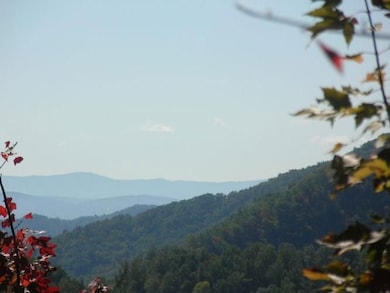 0 Highway 321, Blowing Rock, NC 28605 - photo 2