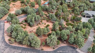 1061 Fox Hat Trail, Pine, AZ 85544 - photo 4