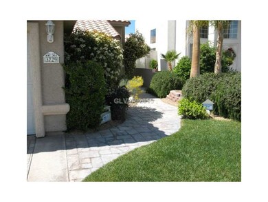 Yard/Garden. Lush Landscape.