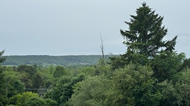 IMG_0934