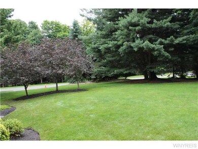 Yard NEARLY A ONE ACRE LOT!