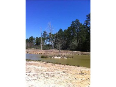 View. Pond (view 2)