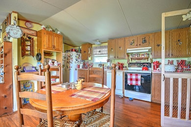 1735 Old Mountain Rd, Greeneville, TN 37743 - photo 6