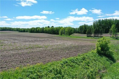 0 Horseshoe Lake Rd, Chetek, WI 54728 - photo 3