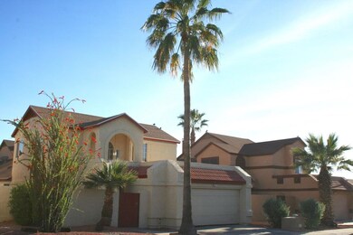 Tall  Palm In Front