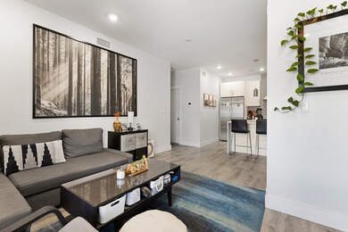 176 Humboldt Ave unit 4, Boston, MA 02121 - photo 5