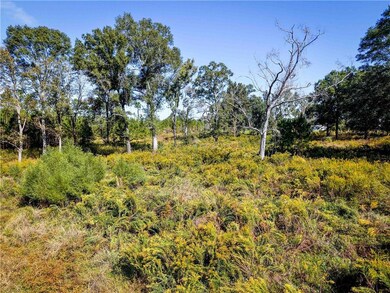 0 Simmons Rd, Franklinton, LA 70438 - photo 4