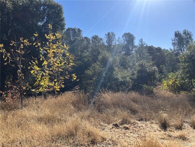 4788 Yarrington Ct, Clear Lake, CA 95422 - photo 4