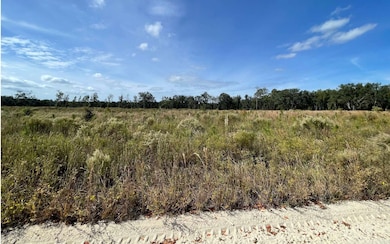 TBD Hawaca Dr, McAlpin, FL 32062 - photo 6