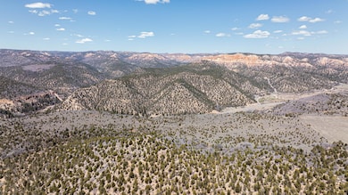 DJI_0367